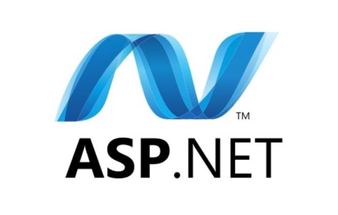 Software Developer- ASP.NET