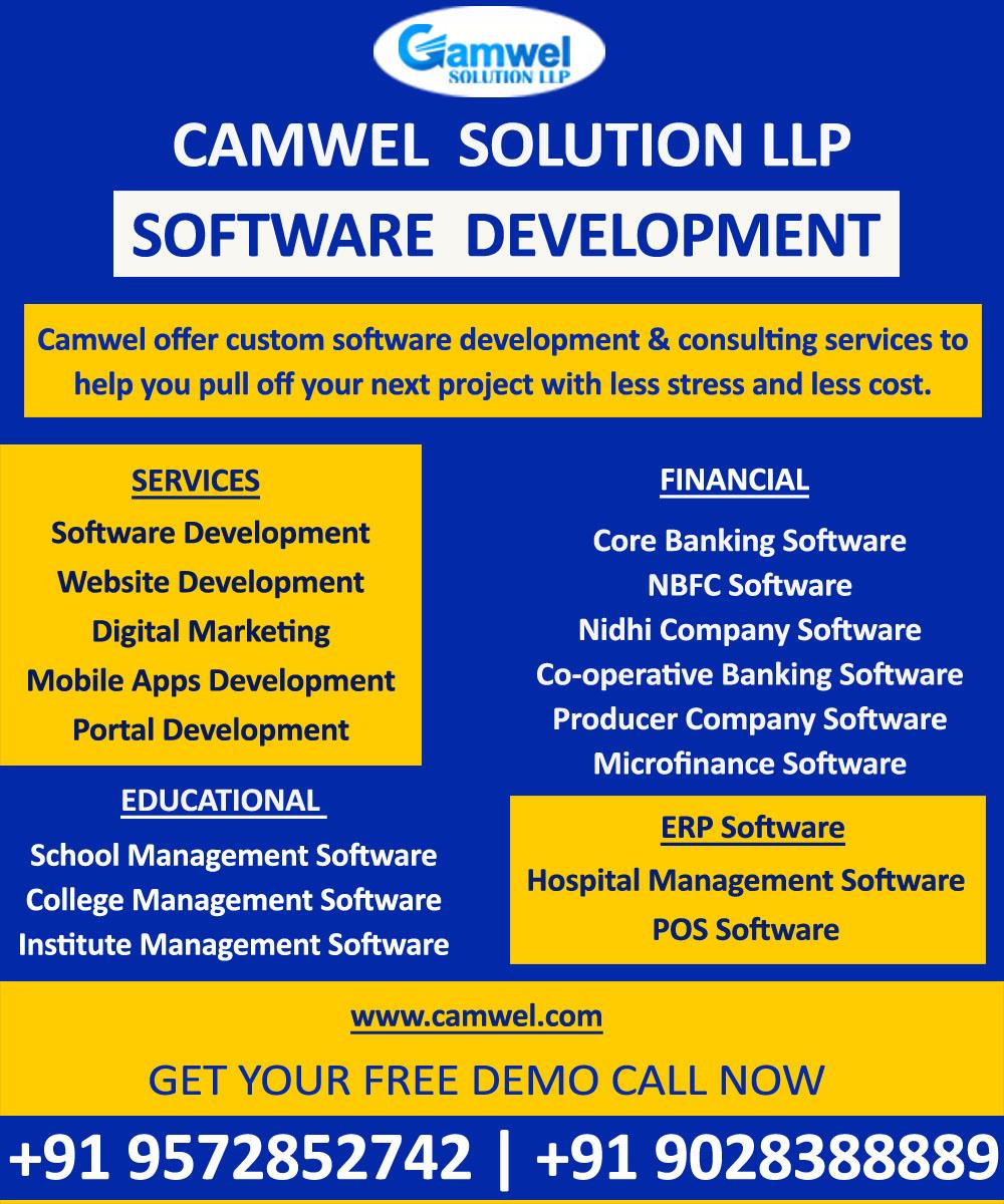 Software development for business